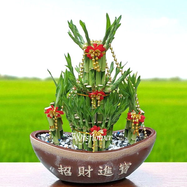 財源滾滾 開運竹