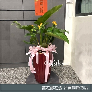 大型盆景 吉祥花禮 開幕賀禮 台南市花店