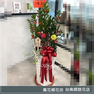 金錢樹組合盆景 吉祥花禮 開幕賀禮 台南市花店