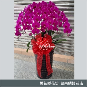 蝴蝶蘭組合盆景 鴻圖大展 廟會 開幕 台南市花店