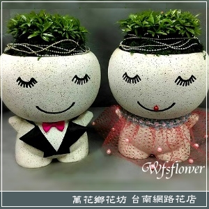 喜悅娃娃盆景 發財樹