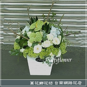 D004  祝福 時尚盆花 台南市花店