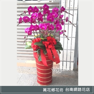 蝴蝶蘭組合盆景 鴻圖大展 廟會 開幕 台南市花店