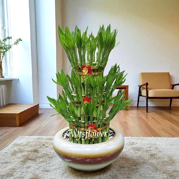 財源滾滾 開運竹 開幕賀禮 台南市花店