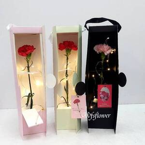 私藏的愛單朵進口大康乃馨 母親節推薦