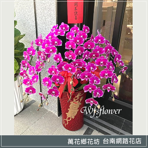 蝴蝶蘭組合盆景 祝賀榮陞 開幕台南市花店